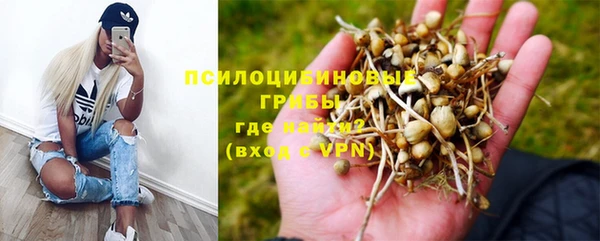 a pvp Гусь-Хрустальный