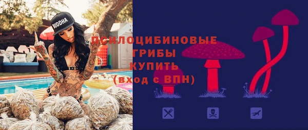 a pvp Гусь-Хрустальный